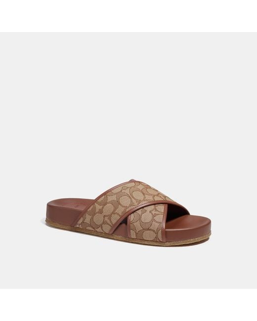 Coach Outlet Men's Brown Crossover Sandal